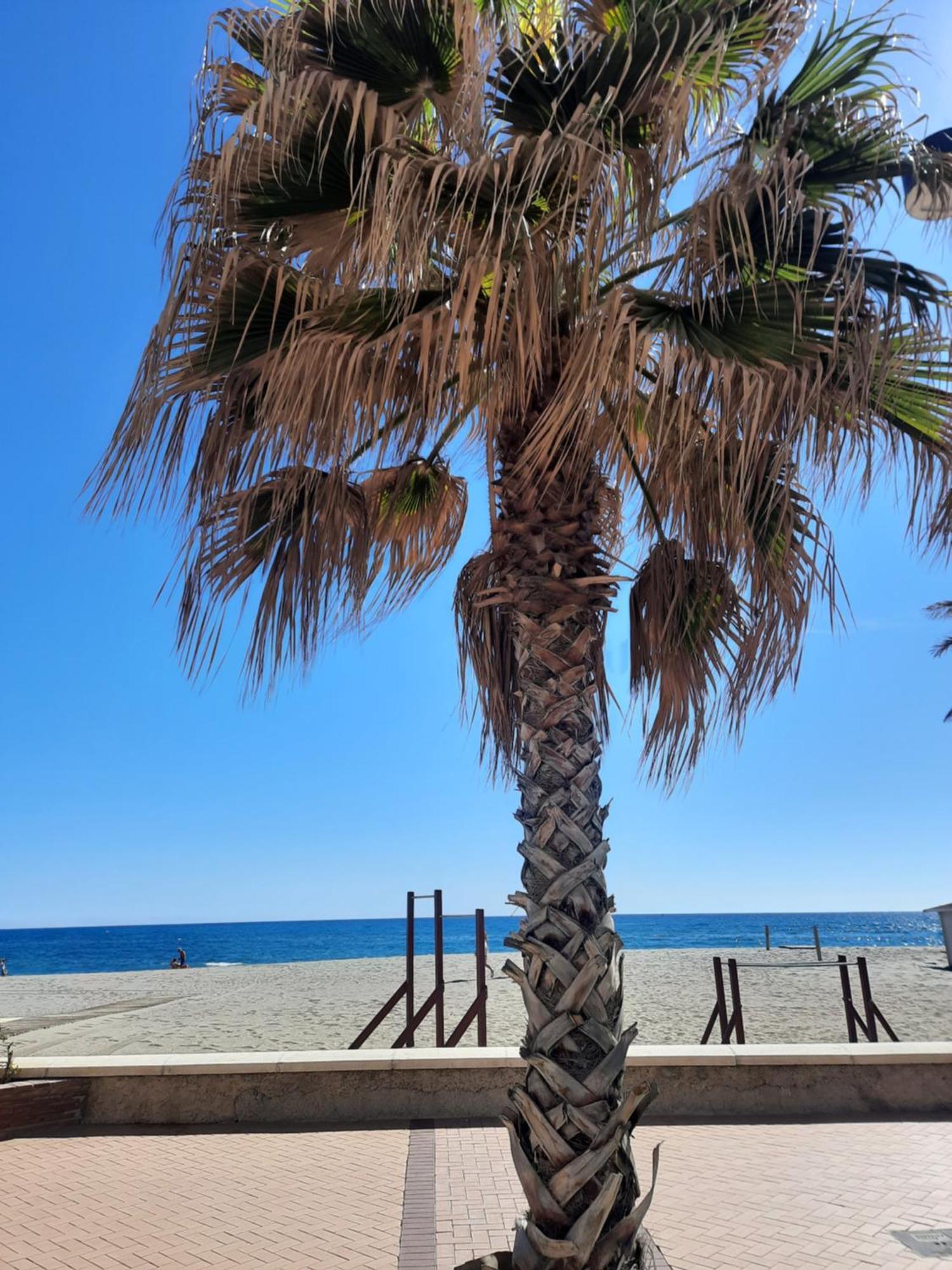 Fuengirola Apartment Carvajal Front Line Primera Linea Экстерьер фото